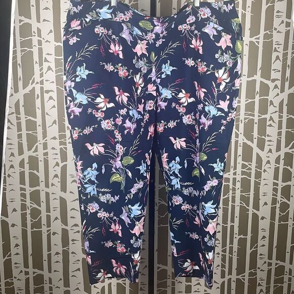 Terra & Sky Floral Print Ankle Pant 4X (28W-30W) - Picture 1 of 11